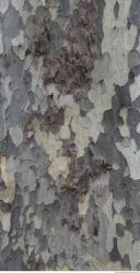 Photo of Mixed Nature Textures